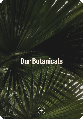 2_21511e52-6f6e-4c48-a0e7-979a6e061f88.png